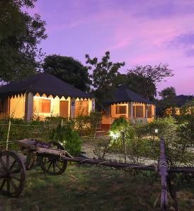 Camp Serai Tiger - Tadoba National Park, Maharashtra
