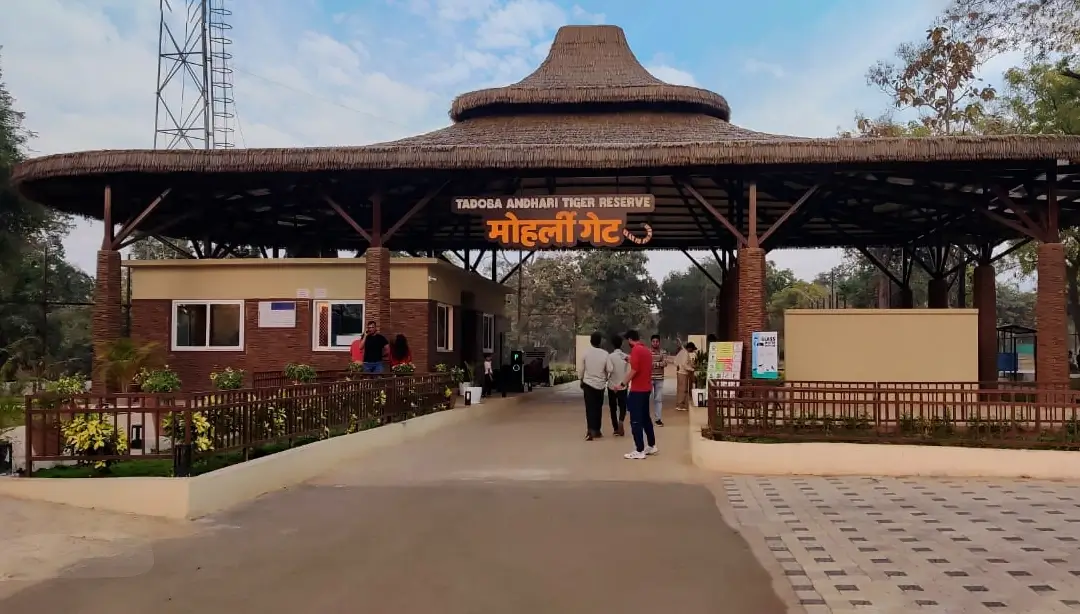 Entry Gates for Safari in Tadoba National Park, Maharashtra