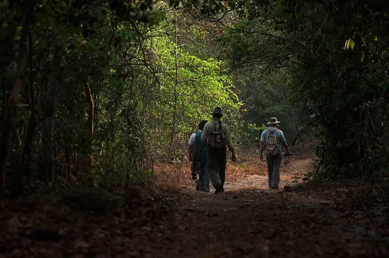 Navegaon National Park, Maharashtra