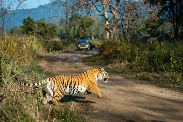 Navegaon National Park, Maharashtra