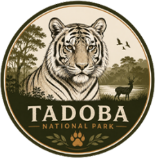 Tadoba National Park