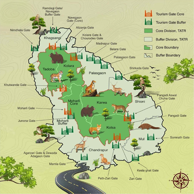 Safari Zones in Tadoba National Park, Maharashtra
