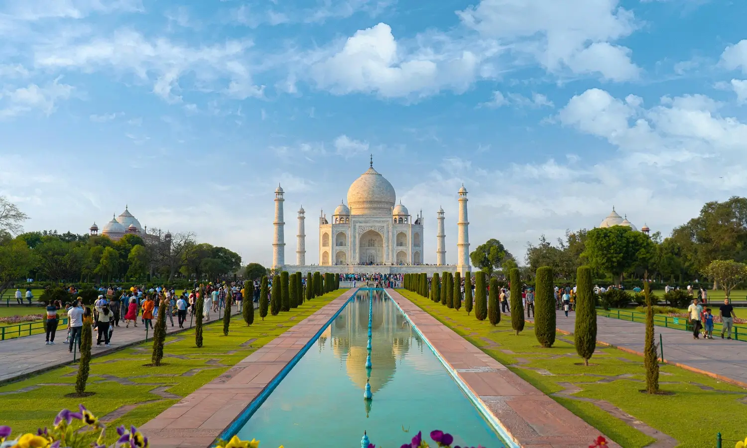 Taj with Tiger Tracks - Tadoba National Park, Maharashtra