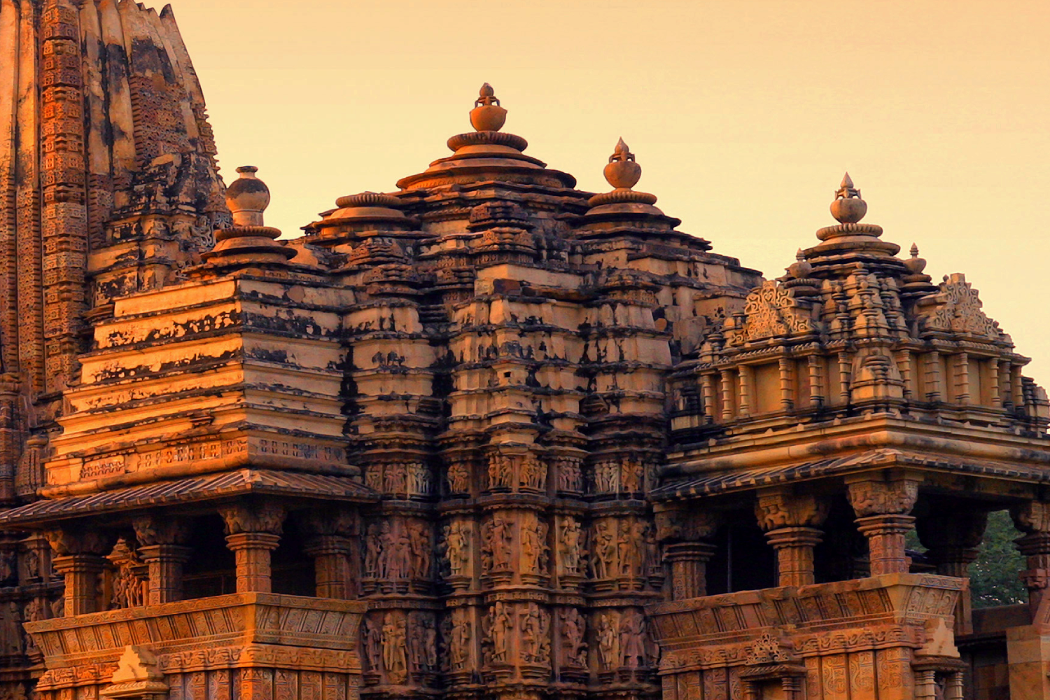 The Tiger Kingdoms of West & Central India- Wildlife Tour